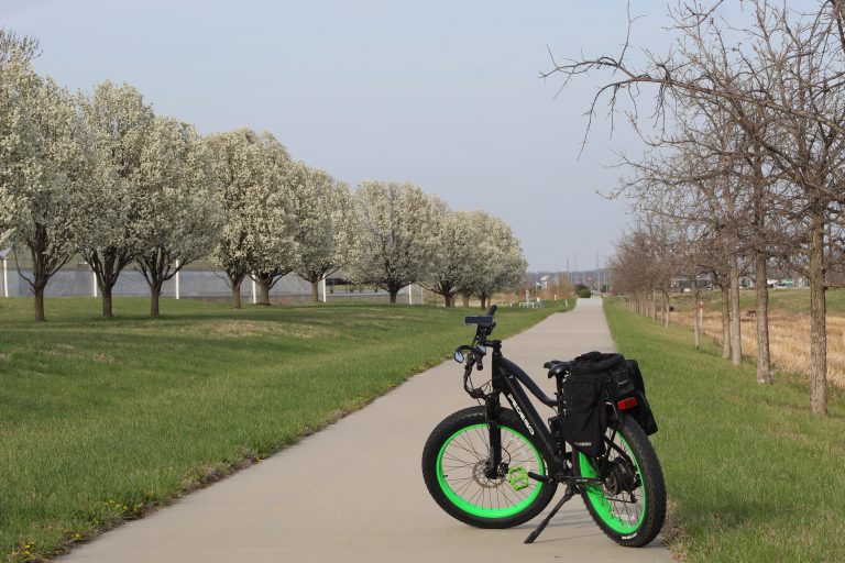 A Pedego Electric bike parked on a trail lined with trees in bloom.